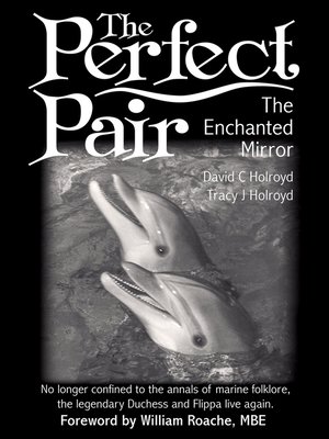 cover image of The Perfect Pair